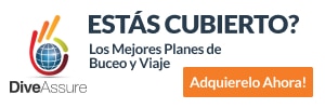 300×100