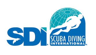 logo-sdi