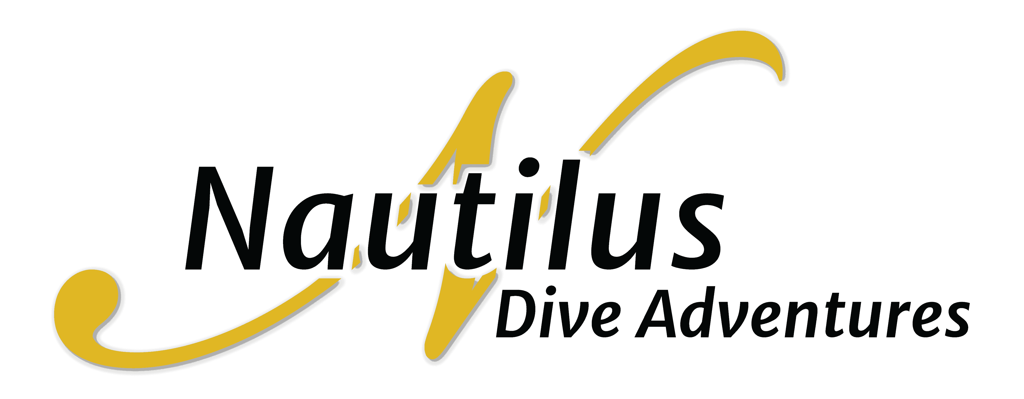 2020-Nautilus-logo-standard